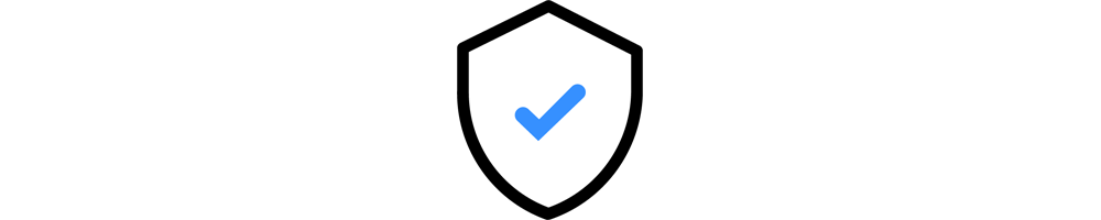 Website Security Standard 1 website security 2